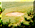 1.gif (18312 bytes)