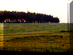 2.gif (16770 bytes)