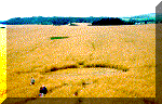 8.gif (11357 bytes)