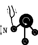 Netersel.gif (1694 bytes)