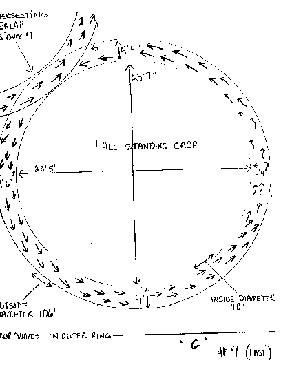 Chehailis, USA crop circle, aerial photo 5
