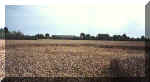dyke2.jpg (26970 bytes)