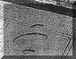 renesse.jpg (29291 bytes)