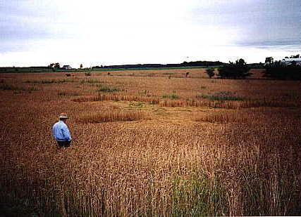 Indian Village, USA crop circle, aerial photo 3