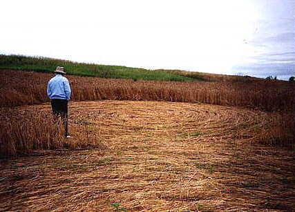 Indian Village, USA crop circle, aerial photo 4