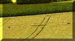 welte2b.jpg (17925 bytes)
