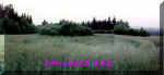 Austrian newspapers crop circle, aerial photo 4