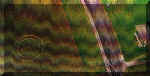 Austrian newspapers crop circle, aerial photo 2