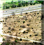 freeway.jpg (49216 bytes)