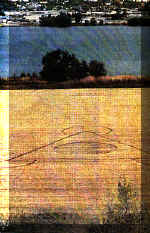 klamathfalls98.jpg (33693 bytes)