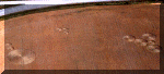 vanderhoof2.gif (54278 bytes)