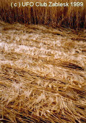 Bohuslavice, Czech Republic crop circle, aerial photo 3
