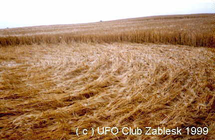 Bohuslavice, Czech Republic crop circle, aerial photo 4