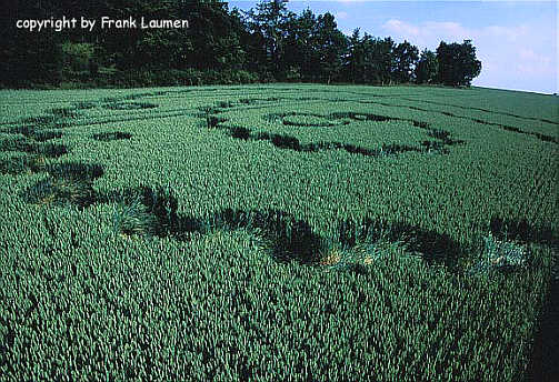 Ehlen (1) A44, Germany crop circle, aerial photo 3