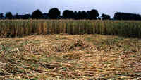 Berkel-Enschot, Netherlands crop circle, aerial photo 2