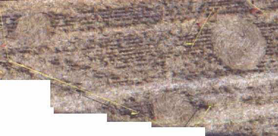 hagers2-99c.jpg (27586 bytes)