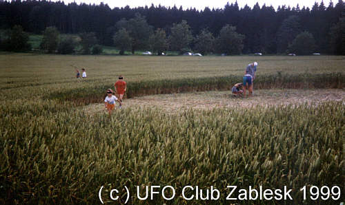 Lomnice, Czech Republic crop circle, aerial photo 4