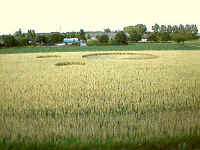 Berkel-Enschot, Netherlands crop circle, aerial photo 6