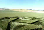 A formation @ Bishops Cannings (A361), Wiltshire crop circle, aerial photo 5