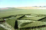 A formation @ Bishops Cannings (A361), Wiltshire crop circle, aerial photo 6