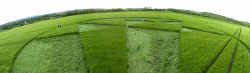 A formation @ East field, Wiltshire crop circle, aerial photo 2