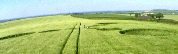 Wexcombe (Barley), Wiltshire crop circle, aerial photo 3