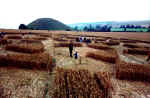 A formation @ Silbury Hill, Wiltshire crop circle, aerial photo 4