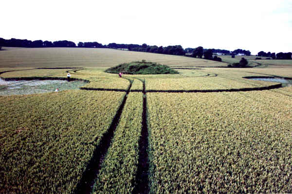 Signsofthetimes, Wiltshire crop circle from the air