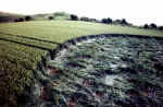 A formation @ Alton Barnes, Wiltshire crop circle, aerial photo 4