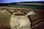 A formation @ Lockeridge, Wiltshire crop circle, aerial photo 2
