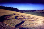 A formation @ Lockeridge, Wiltshire crop circle, aerial photo 4