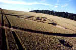 A formation @ Lockeridge, Wiltshire crop circle, aerial photo 5