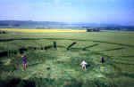 Priors, Wiltshire crop circle, aerial photo 15