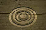 img0052.jpg (88163 bytes)