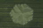 img0074.jpg (63971 bytes)