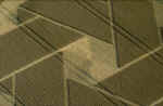 img0084.jpg (82004 bytes)