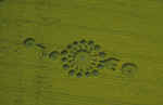 img0099.jpg (65986 bytes)
